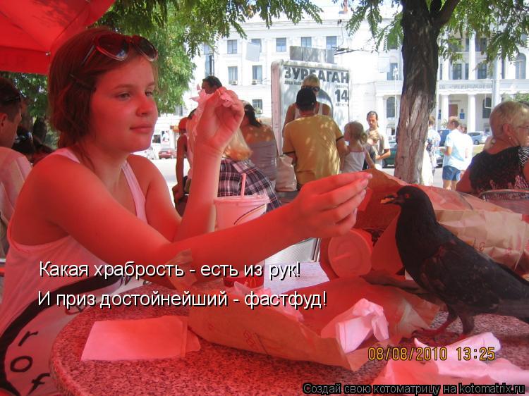 Котоматрица: Какая храбрость - есть из рук! И приз достойнейший - фастфуд!