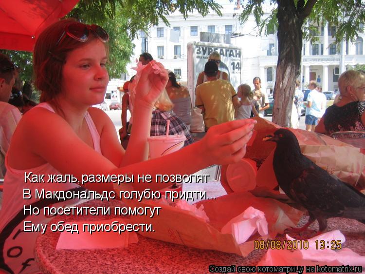 Котоматрица: Как жаль,размеры не позволят В Макдональдс голубю придти... Но посетители помогут Ему обед приобрести.