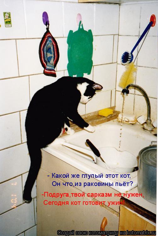 - Какой же глупый этот кот, Он что,из раковины пьёт? -Подруга,твой сарказм не нужен, -Подруга,твой са... Котоматрица: - Какой же глупый этот кот, Он что,из раковины пьёт? -Подруга,твой сарказм не нужен, -Подруга,твой сарказм не нужен, Сегодня кот готовит ужин!