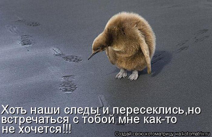 Котоматрица: не хочется!!! Хоть наши следы и пересеклись,но встречаться с тобой мне как-то
