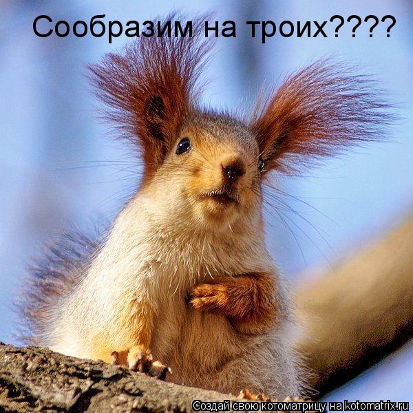 Котоматрица: Сообразим на троих????