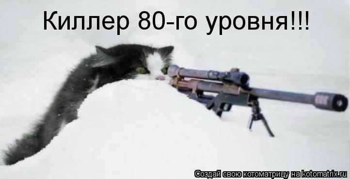 Котоматрица: Киллер 80-го уровня!!!