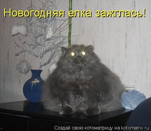 Котоматрица: Новогодняя елка зажглась!