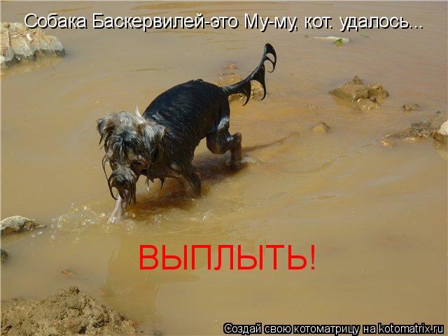 Котоматрица: Собака Баскервилей-это Му-му, кот. удалось... ВЫПЛЫТЬ!