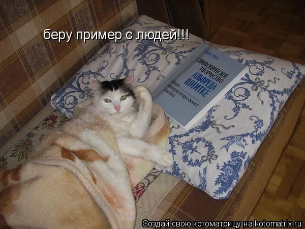 Котоматрица: беру пример с людей!!!