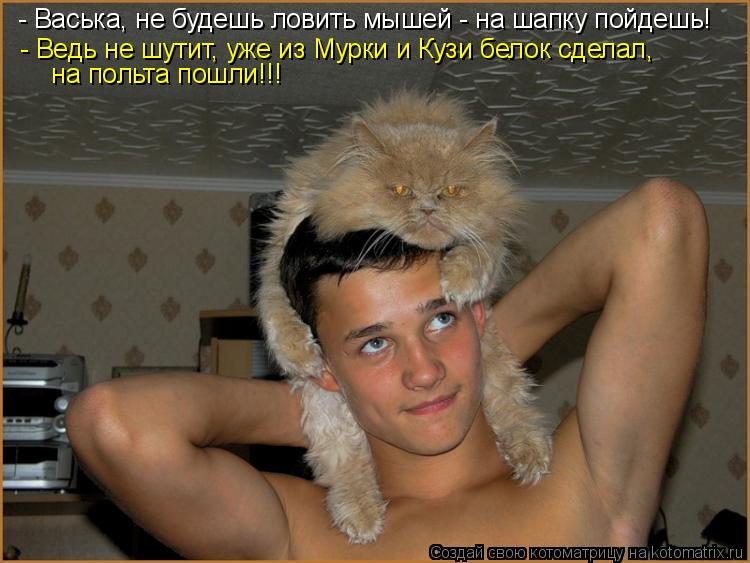 Котоматрица: - Васька, не будешь ловить мышей - на шапку пойдешь! - Ведь не шутит, уже из Мурки и Кузи белок сделал,   на польта пошли!!!