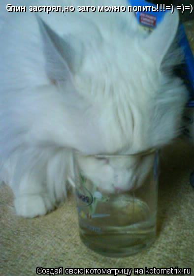 Котоматрица: блин застрял,но зато можно попить!!!=) =)=)