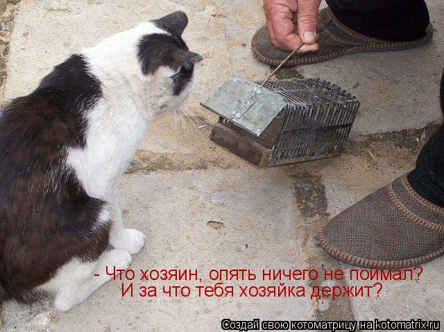 Котоматрица: - Что хозяин, опять ничего не поймал?  И за что тебя хозяйка держит?