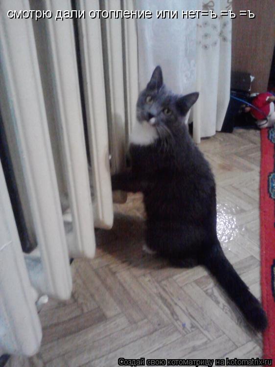 Котоматрица: смотрю дали отопление или нет=ъ =ъ =ъ
