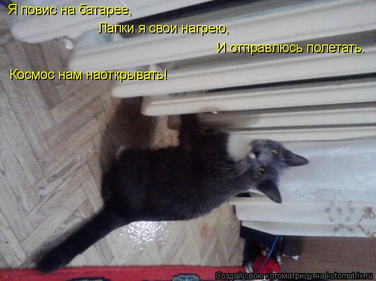 Котоматрица: Я повис на батарее, Лапки я свои нагрею, И отправлюсь полетать. Космос нам наоткрывать!