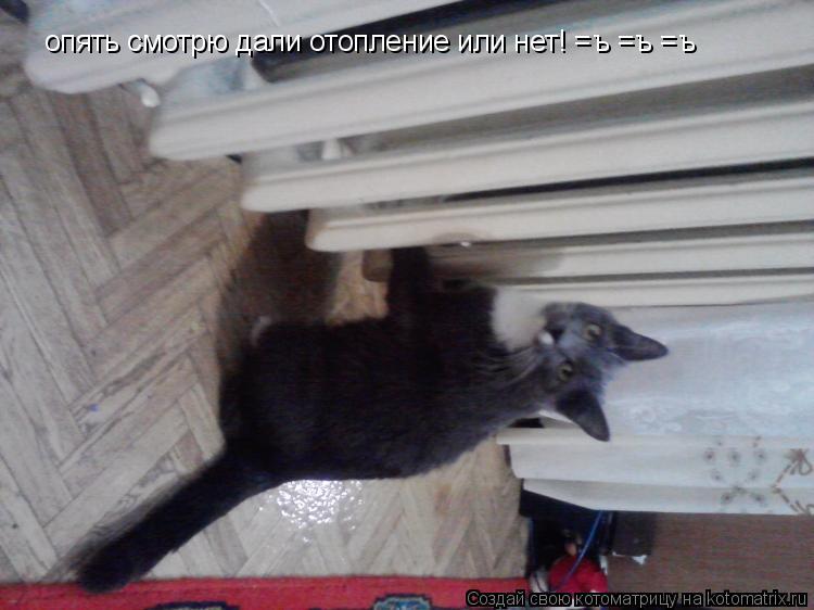 Котоматрица: опять смотрю дали отопление или нет! =ъ =ъ =ъ