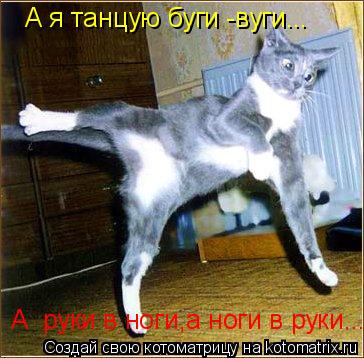 Котоматрица: А я танцую буги -вуги... А  руки в ноги,а ноги в руки...