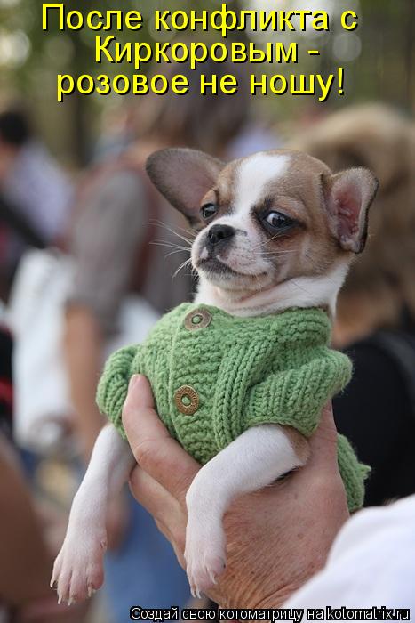 Котоматрица: Киркоровым - розовое не ношу! После конфликта с