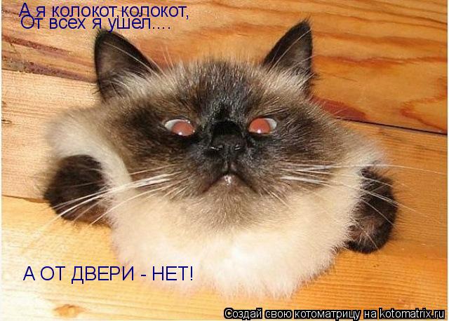 Котоматрица: А я колокот,колокот, От всех я ушел.... А ОТ ДВЕРИ - НЕТ!