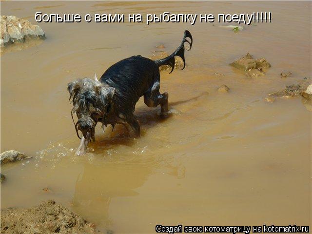 Котоматрица: больше с вами на рыбалку не поеду!!!!!