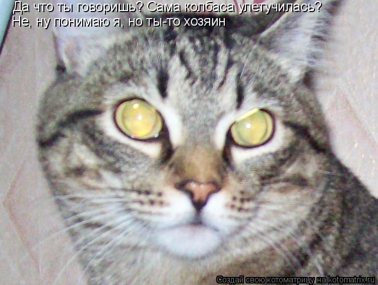 Котоматрица: Да что ты говоришь? Сама колбаса улетучилась? Не, ну понимаю я, но ты-то хозяин