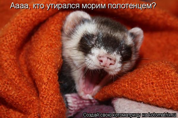 Котоматрица: Аааа, кто утирался морим полотенцем?