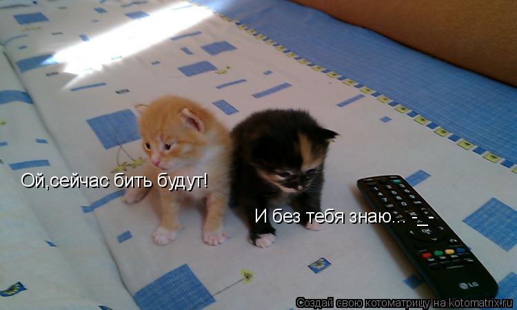 Котоматрица: Ой,сейчас бить будут! И без тебя знаю... -_-