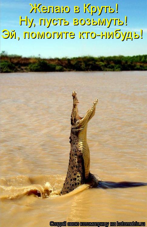 Котоматрица: Желаю в Круть! Ну, пусть возьмуть! Эй, помогите кто-нибудь!