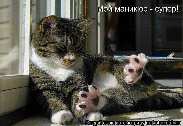 Котоматрица: Мой маникюр - супер!