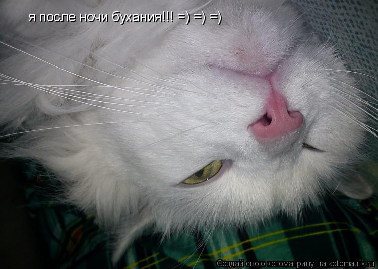 Котоматрица: я после ночи бухания!!! =) =) =)