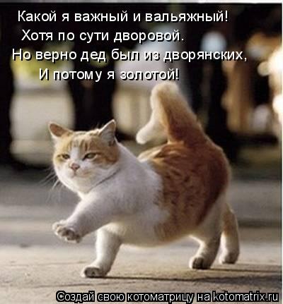 Котоматрица: Какой я важный и вальяжный!  Хотя по сути дворовой. Но верно дед был из дворянских, И потому я золотой!