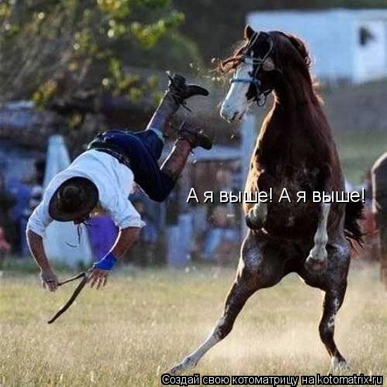 Котоматрица: А я выше! А я выше!