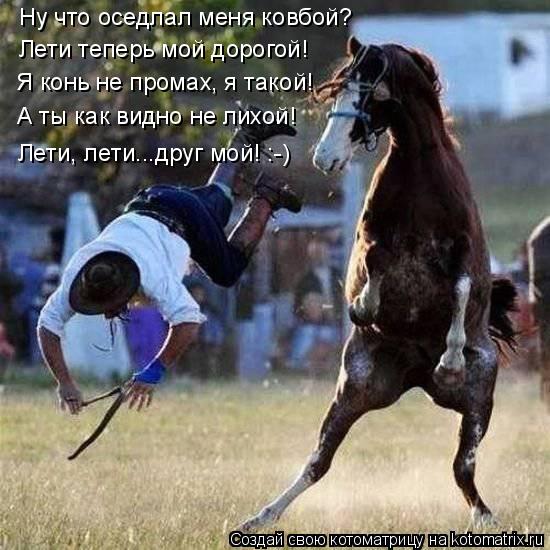 Котоматрица: Ну что оседлал меня ковбой? Лети теперь мой дорогой! Я конь не промах, я такой! А ты как видно не лихой! Лети, лети...друг мой! :-)