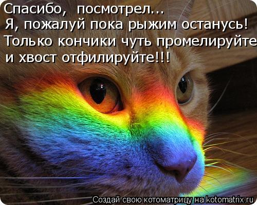 Котоматрица: Спасибо,  посмотрел... Я, пожалуй пока рыжим останусь! Только кончики чуть промелируйте и хвост отфилируйте!!!