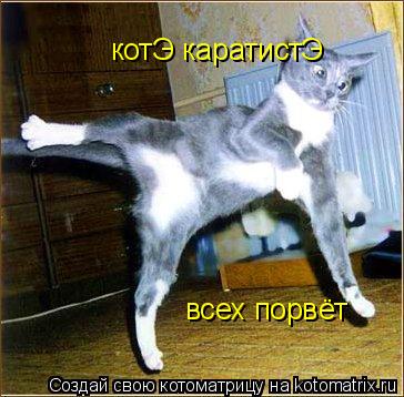 Котоматрица: котЭ каратистЭ всех порвёт