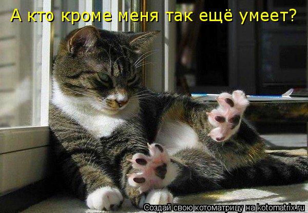 Котоматрица: А кто кроме меня так ещё умеет?