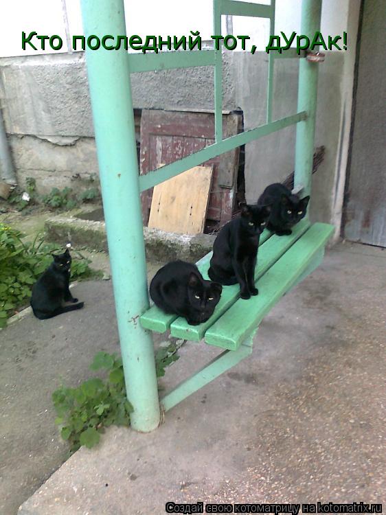 Котоматрица: Кто последний тот, дУрАк!