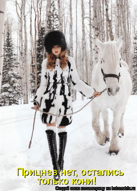 Котоматрица: Прицнев нет, остались  только кони!