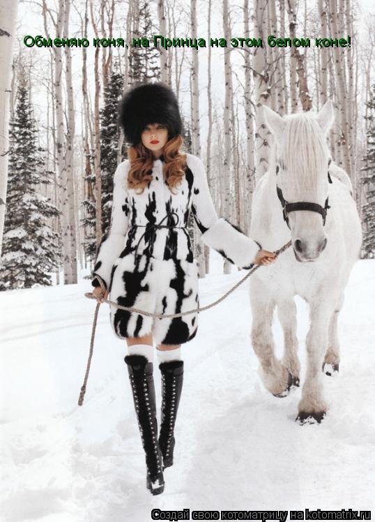 Котоматрица: Обменяю коня, на Принца на этом белом коне!
