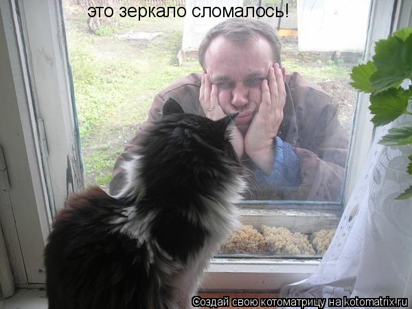 Котоматрица: это зеркало сломалось!