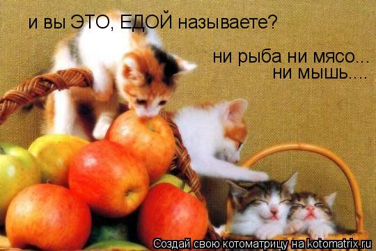 Котоматрица: и вы ЭТО, ЕДОЙ называете? ни рыба ни мясо... ни мышь....