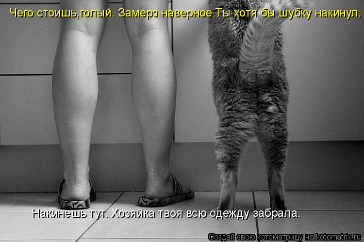 Котоматрица: Чего стоишь,голый. Замерз наверное.Ты хотя бы шубку накинул. Накинешь тут. Хозяйка твоя всю одежду забрала.