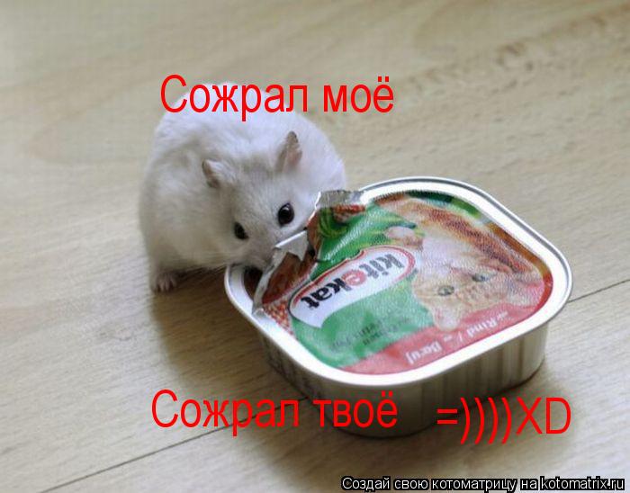 Котоматрица: Сожрал моё Сожрал твоё =))))XD