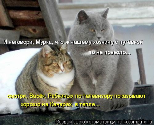 Котоматрица: смотри, Васёк, Рабкиных по телевизору показывают хорошо на Канарах, в тепле... И неговори, Мурка, что ж нашему хозяину с путёвкой то не повезл