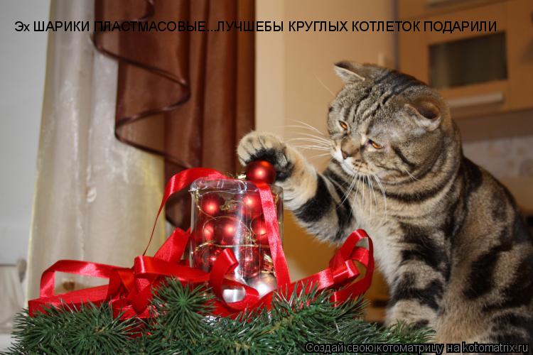 Котоматрица: Эх ШАРИКИ ПЛАСТМАСОВЫЕ...ЛУЧШЕБЫ КРУГЛЫХ КОТЛЕТОК ПОДАРИЛИ Эх ШАРИКИ ПЛАСТМАСОВЫЕ...ЛУЧШЕБЫ КРУГЛЫХ КОТЛЕТОК ПОДАРИЛИ