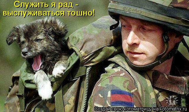 Котоматрица: Служить я рад - выслуживаться тошно!