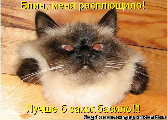 Котоматрица: Блин, меня расплющило! Лучше б заколбасило!!!