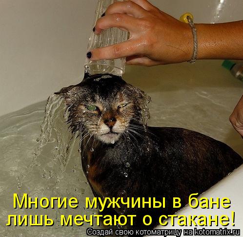 Котоматрица: Многие мужчины в бане лишь мечтают о стакане!