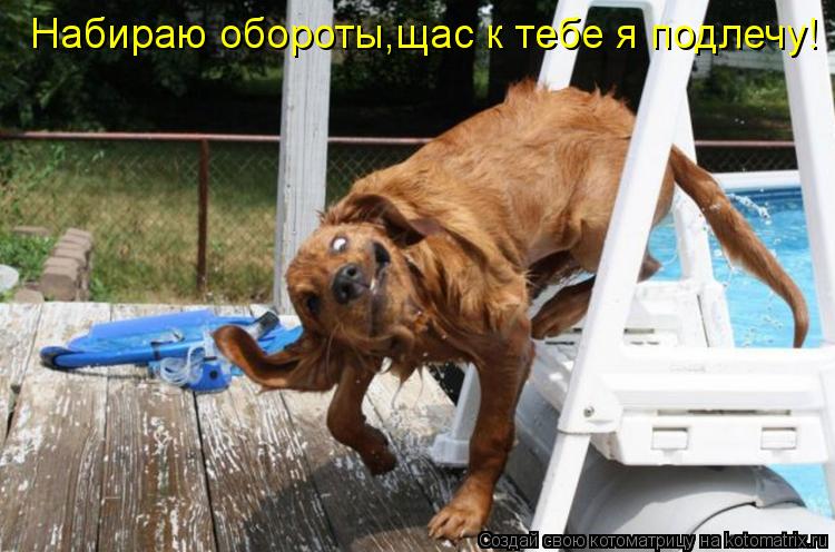 Котоматрица: Набираю обороты,щас к тебе я подлечу!