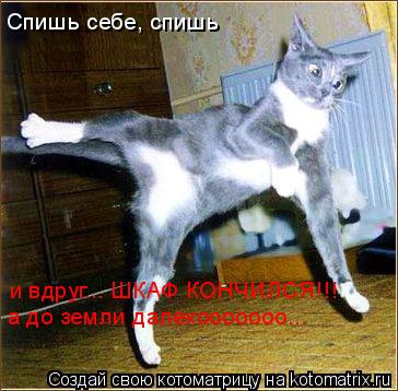 Котоматрица: Спишь себе, спишь и вдруг... ШКАФ КОНЧИЛСЯ!!! а до земли далекооооооо...