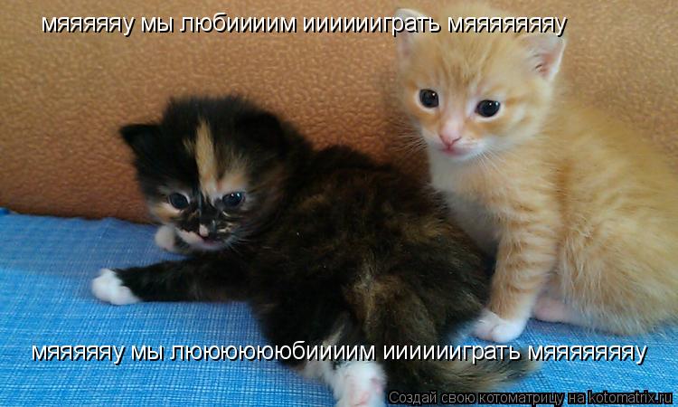 Котоматрица: мяяяяяу мы любиииим ииииииграть мяяяяяяяу мяяяяяу мы лююююююбиииим ииииииграть мяяяяяяяу