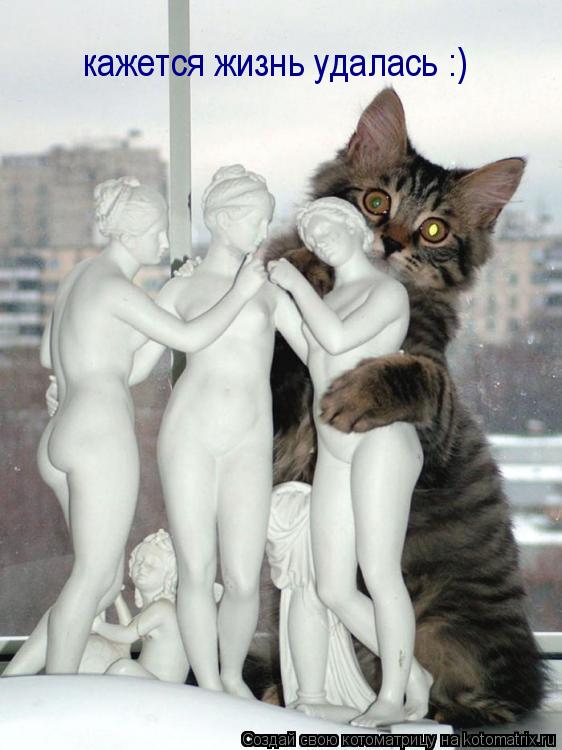 Котоматрица: кажется жизнь удалась :)