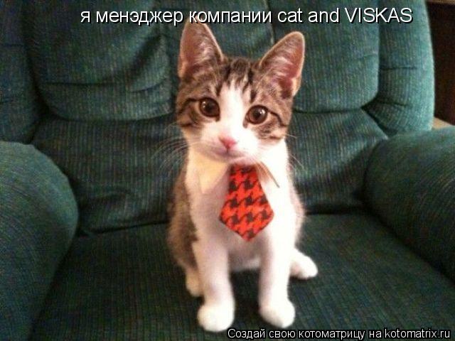 Котоматрица: я менэджер компании cat and VISKAS