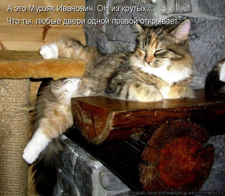 Котоматрица: А это Мурзяк Иванович. ОН из крутых.... Что ты, любые двери одной правой открывает...