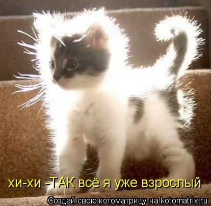 Котоматрица: хи-хи -ТАК всё я уже взрослый